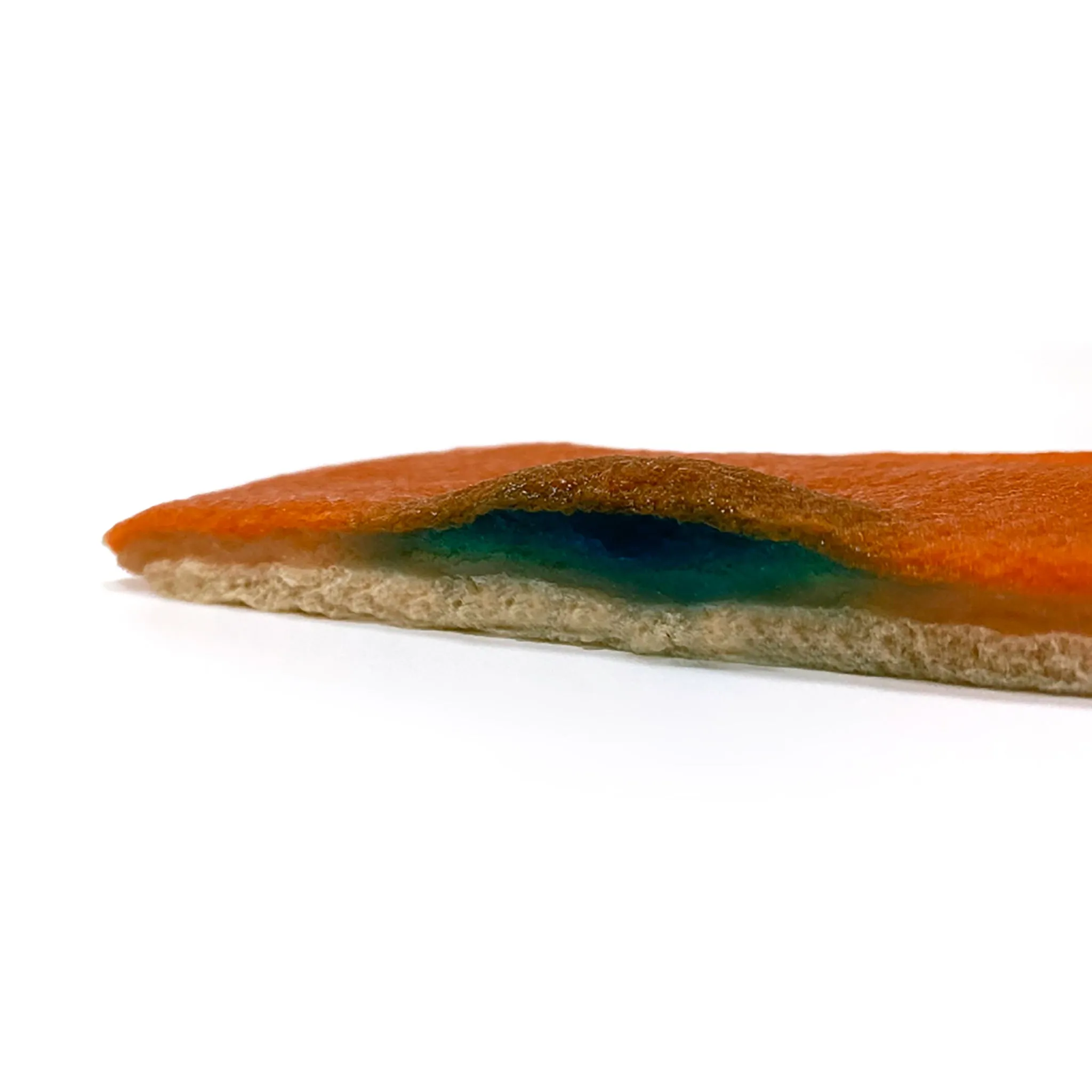 Gastric Mucosa Model