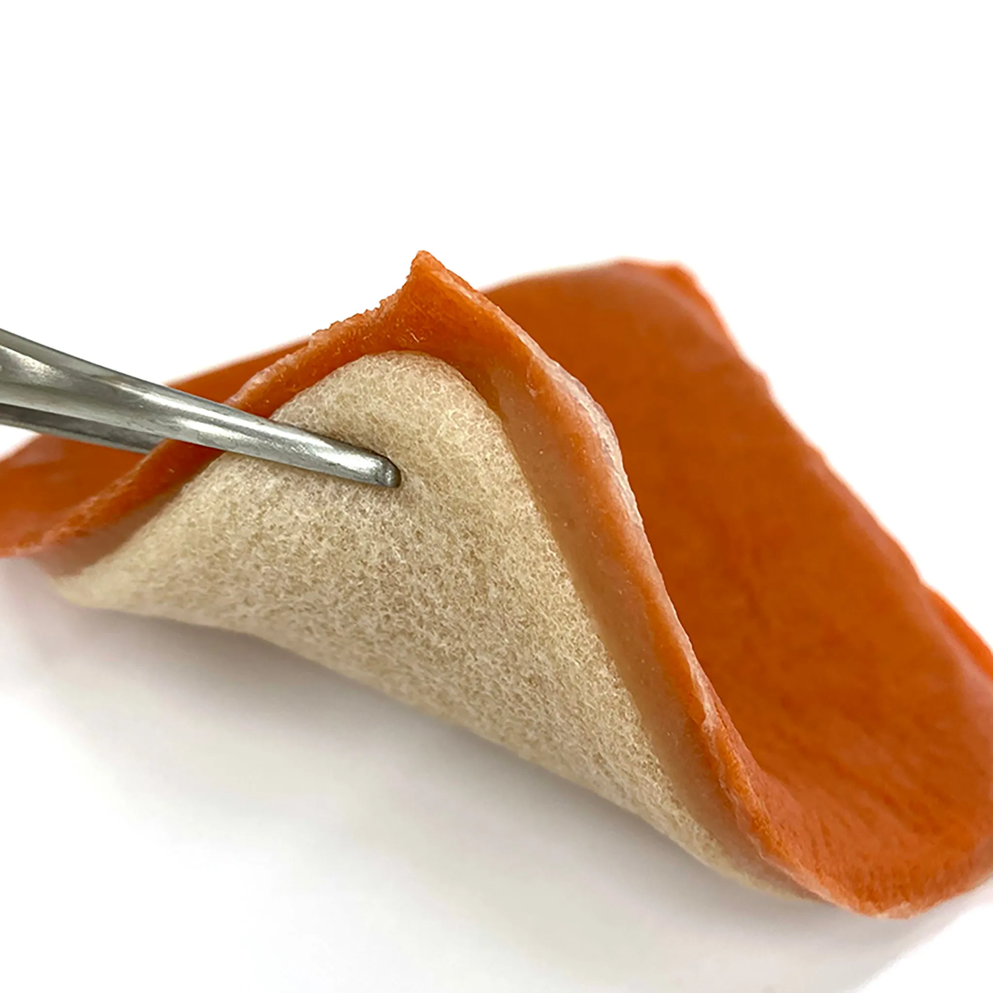 Gastric Mucosa Model